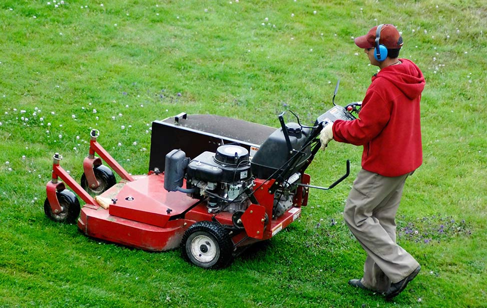 Man mowing a lawn image