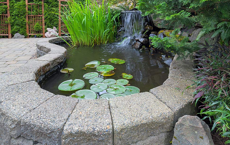 Water Feature image