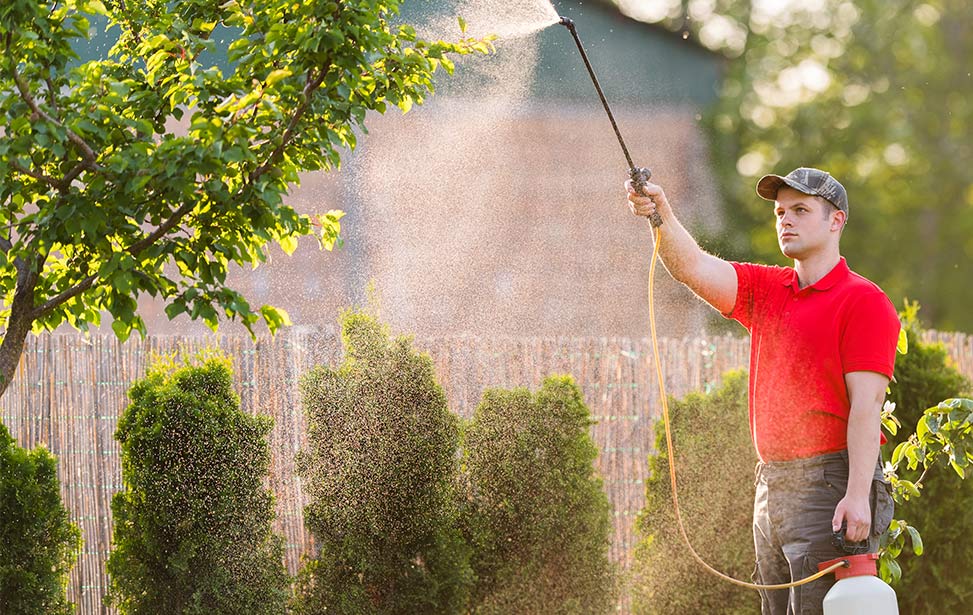 Person Spraying image